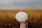 Woman posing in Poppies field with umbrella. Artistic interpretation