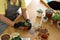 Woman potting succulent plant on table at home, closeup. Engaging hobby