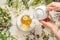 Woman pouring chamomile herbal tea on white wooden background