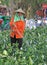 Woman is pouring flower on the street in Hanoi