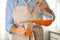 Woman pouring freshly made carrot juice into glass in kitchen, closeup