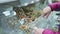 Woman pouring mixture of nuts and dried fruits