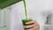 Woman pouring vegetables juice into a glass