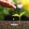 Woman pouring water on seedling, closeup. Planting tree