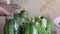 A woman pours marinade over cucumbers in pickling jars. Harvest conservation. Close-up shot