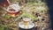 Woman pours tea from a glass teapot into a glass Cup