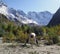 Woman practices yoga in a mountain gorge. Travel Lifestyle Relaxation. Emotional concept. Outdoor adventure. Harmony