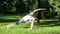Woman practices yoga in the park