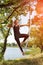 Woman practicing antigravity yoga at the tree near the river