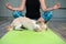 Woman practicing yoga exercises with pet, during yoga meditation with dog puppy, training on mat with animal. Mental