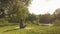 Woman practicing yoga in park at sunny morning, looking at sunrise and meditating. Female sitting on yoga mat in park in lotus pos