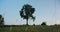 Woman practises yoga at sunrise under the tree. Young spiritual girl meditates in lotus pose nature outdoors, slow motion