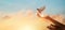 Woman praying and free bird enjoying nature on sunset background, hope concept