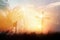 Woman praying with rosary beards and cross on nature sunset.