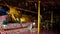 Woman praying in wat to reclining Buddha  surrounded by flowers