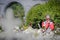 The woman prays at pilgrimage in Lourdes, France