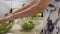 Woman prepared fresh vegetarian salad