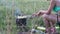 A woman prepares a barbecue on the grill. Fried meat and vegetables are visible on skewers. The woman adjusts the skewers and