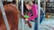 A woman prepares a cow for the show at the Markham Fair.