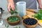 Woman prepares a healthy detox drink in a blender - a green smoothie with fresh fruits, berries, green spinach and avocado.