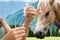 Woman Preparing Horse Vaccine