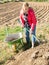 Woman preparing manure for fertilizing soil