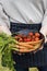 Woman Preparing Table Dinner Concept