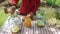 Woman preparing tasty lemonade with elder flower