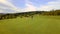 Woman and pro practicing putting on golf green, drone shot