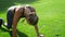 Woman with prosthetic leg doing yoga in park. Girl stretching body outdoors