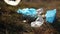 Woman in protective blue rubber glove collecting garbage in autumn field, closeup blue plastic bottle, packages lying on