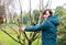 Woman pruning a Conference pear tree.