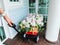 Woman Pulling The Decorated Bunch of Flowers Cart