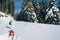 Woman pulling sled in snow