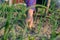 Woman pulling weeds in her vegetable garden