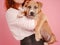 woman with puppy American Staffordshire Terrier posing in studio