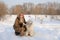 Woman and puppy south russian sheep dog