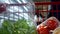 Woman pushing a cart in a supermarket store. Cart with close-up food in supermarket product lifestyle concept trade