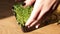 Woman put a microgreens on wooden table, hard light, close up, slow motion.