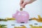 Woman puts coin in piggy Bank. Piggy Bank on white background with autumnal leaves. Budget planning in the fall