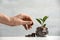 Woman putting coin onto stack, glass jar and green plant on table against light background