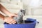 Woman putting her cute British Shorthair kitten in litter box at home