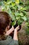 Woman is putting some potting compost or flower soil into a pot