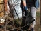 The woman is putting the trash in a bag. General cleaning of the territory from debris and last year is dried plants. The concept