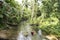 Woman in rainforest creek, West Papua