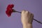 Woman with raised fist holding red carnation against purple background