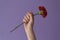 Woman with raised fist holding red carnation against purple background