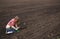 Woman rake on cultivated field black soil