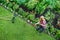 Woman rake in flower garden