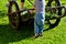 Woman rakes hay and lays on a wheelbarrow. the child helps the mother with the harvest and the father checks the quality to see if